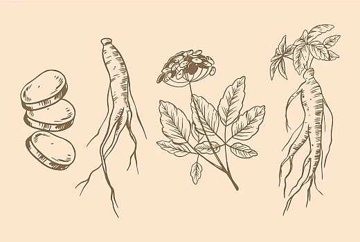 Natural Remedies For Spermatorrhea