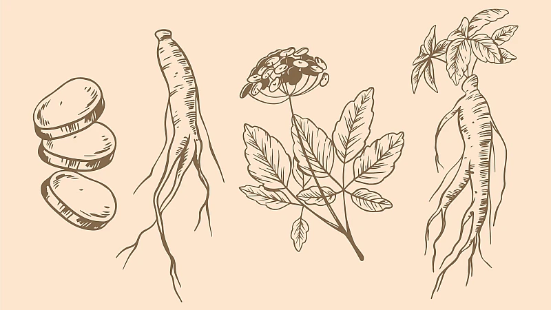 Natural Remedies For Spermatorrhea Natural Remedies For Spermatorrhea