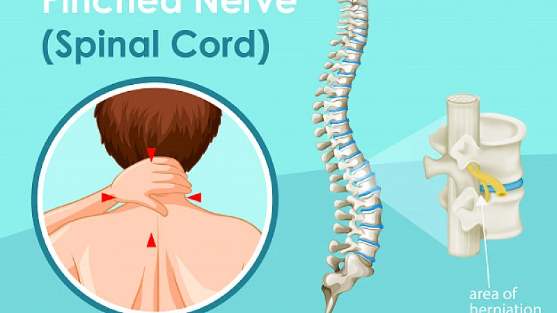 Dr Bhargava Spondin Drops