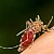 Homeopathic Medicine for Dengue Homeopathic Medicine for Dengue