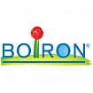Boiron Laboratories Pvt Ltd