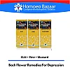 Bach Flower Remedies For Depression (ELM + Pine + Mustard)
