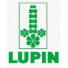 Lupin
