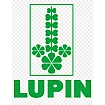 Lupin
