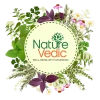 Nature Vedic