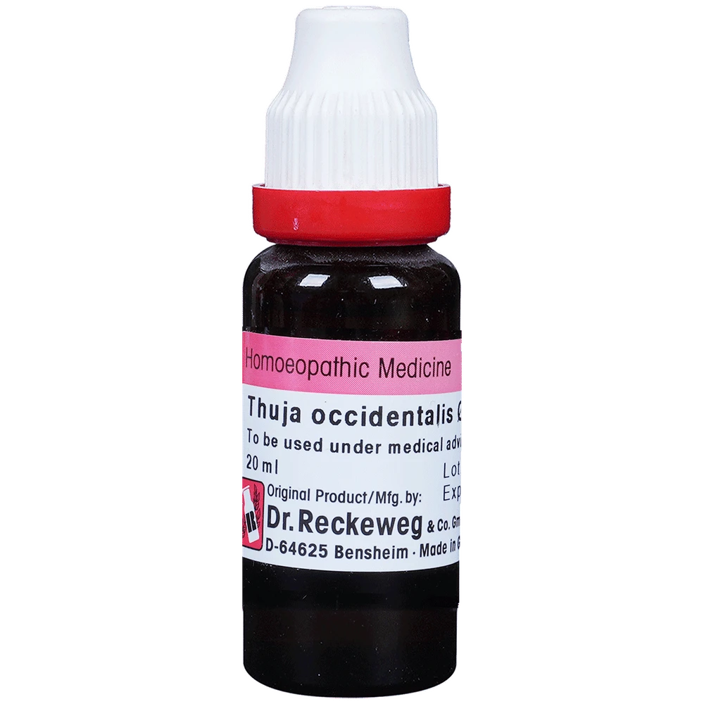 Dr. Reckeweg Thuja Occi Mother Tincture Q bottle of 20 ml Mother Tincture
