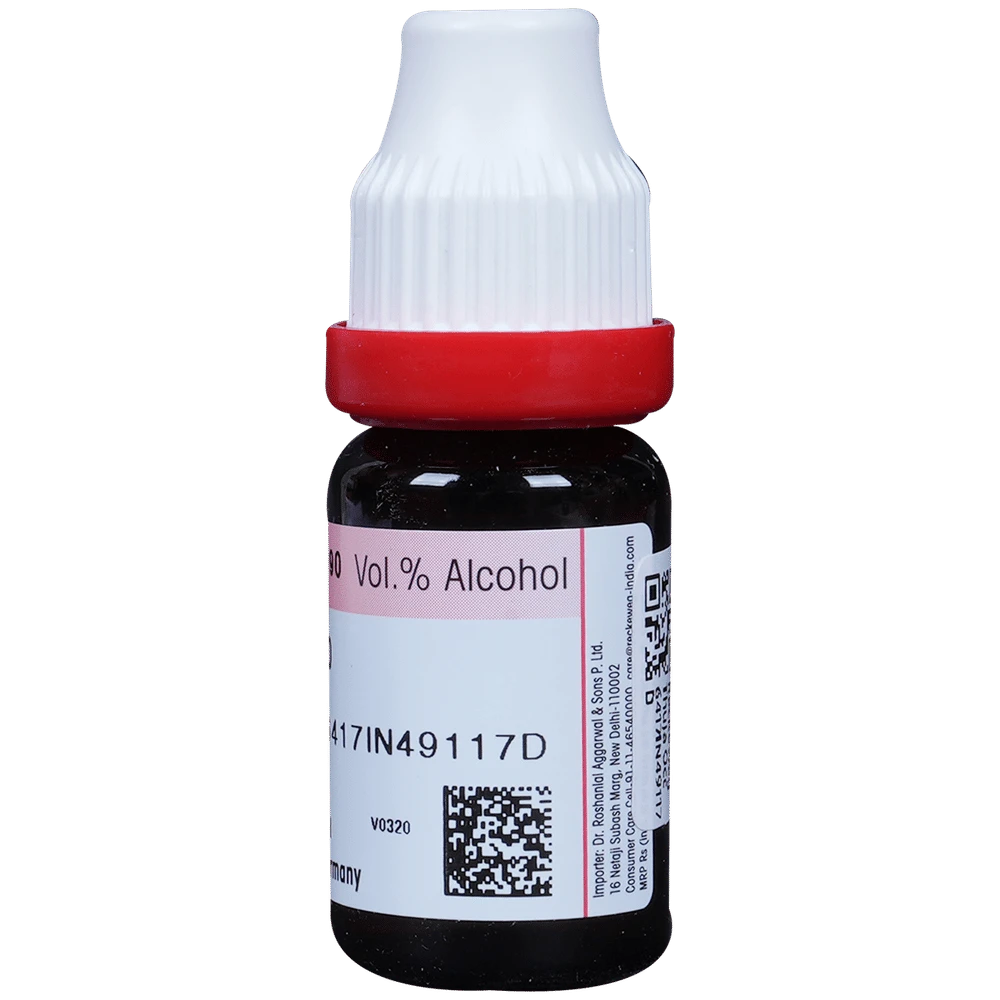 Dr. Reckeweg Thuja Occ Dilution 200 CH bottle of 11 ml Dilution