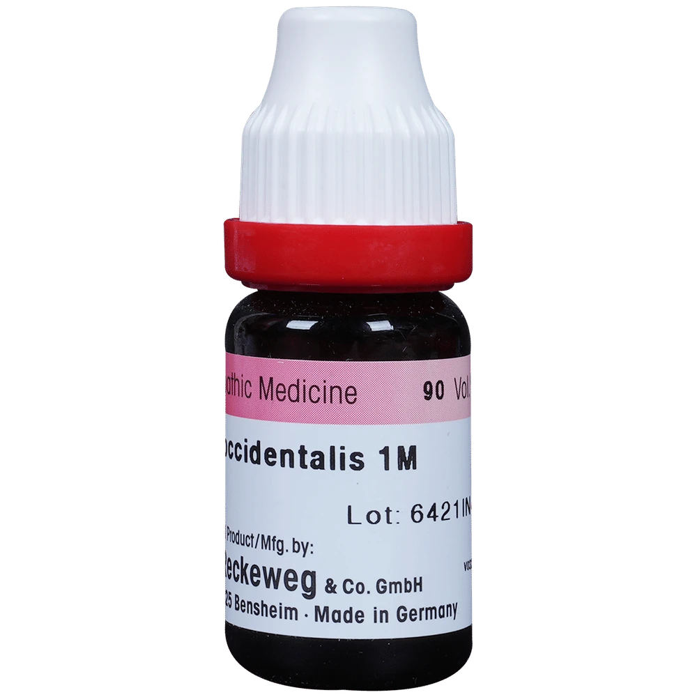 Dr. Reckeweg Thuja Occ Dilution 1000 CH bottle of 11 ml Dilution