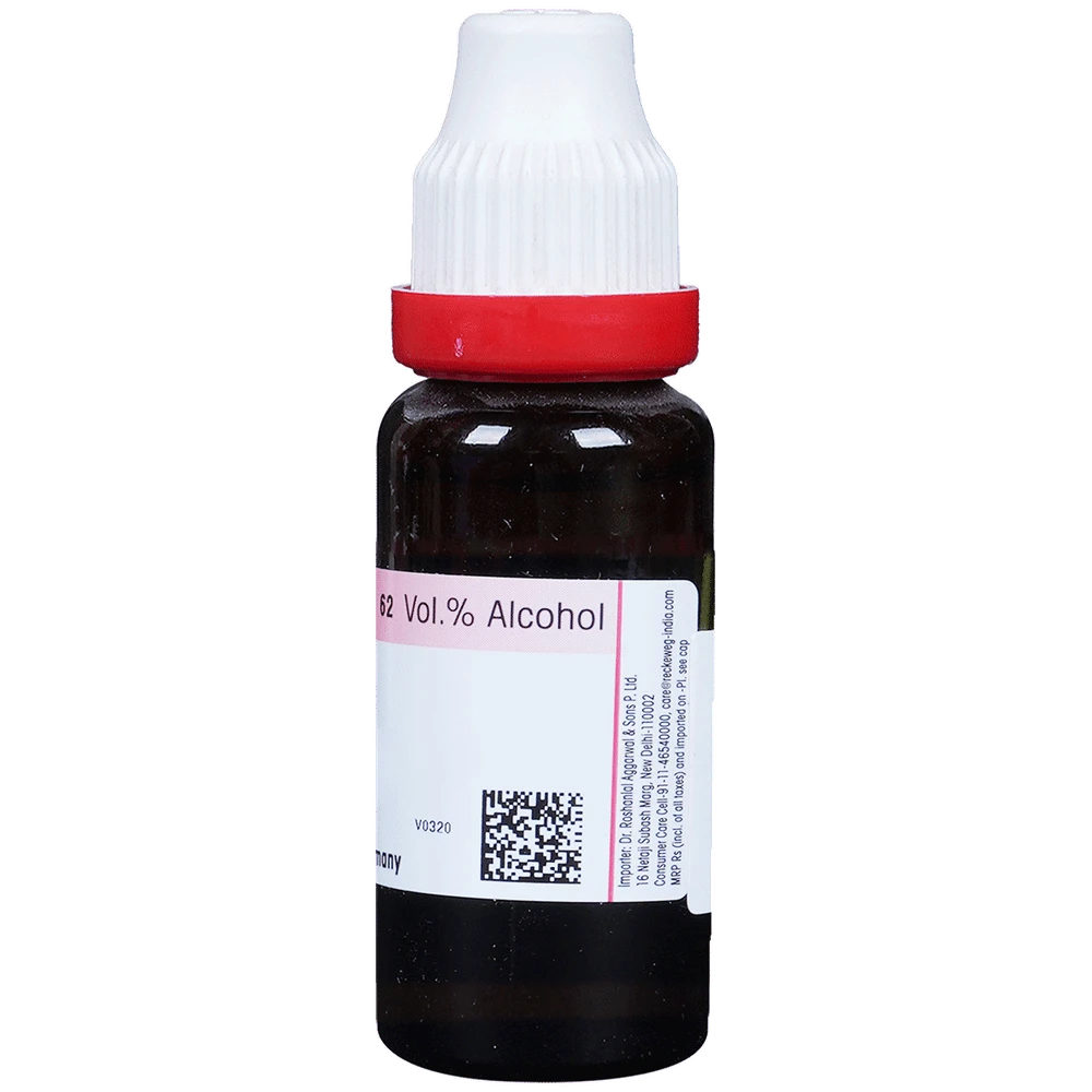 Dr. Reckeweg Tribulus Terr Mother Tincture Q bottle of 20 ml Mother Tincture