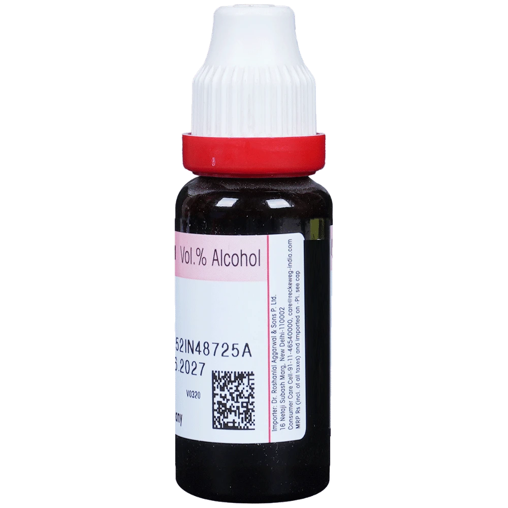 Dr. Reckeweg Urtica Urens Mother Tincture Q bottle of 20 ml Mother Tincture