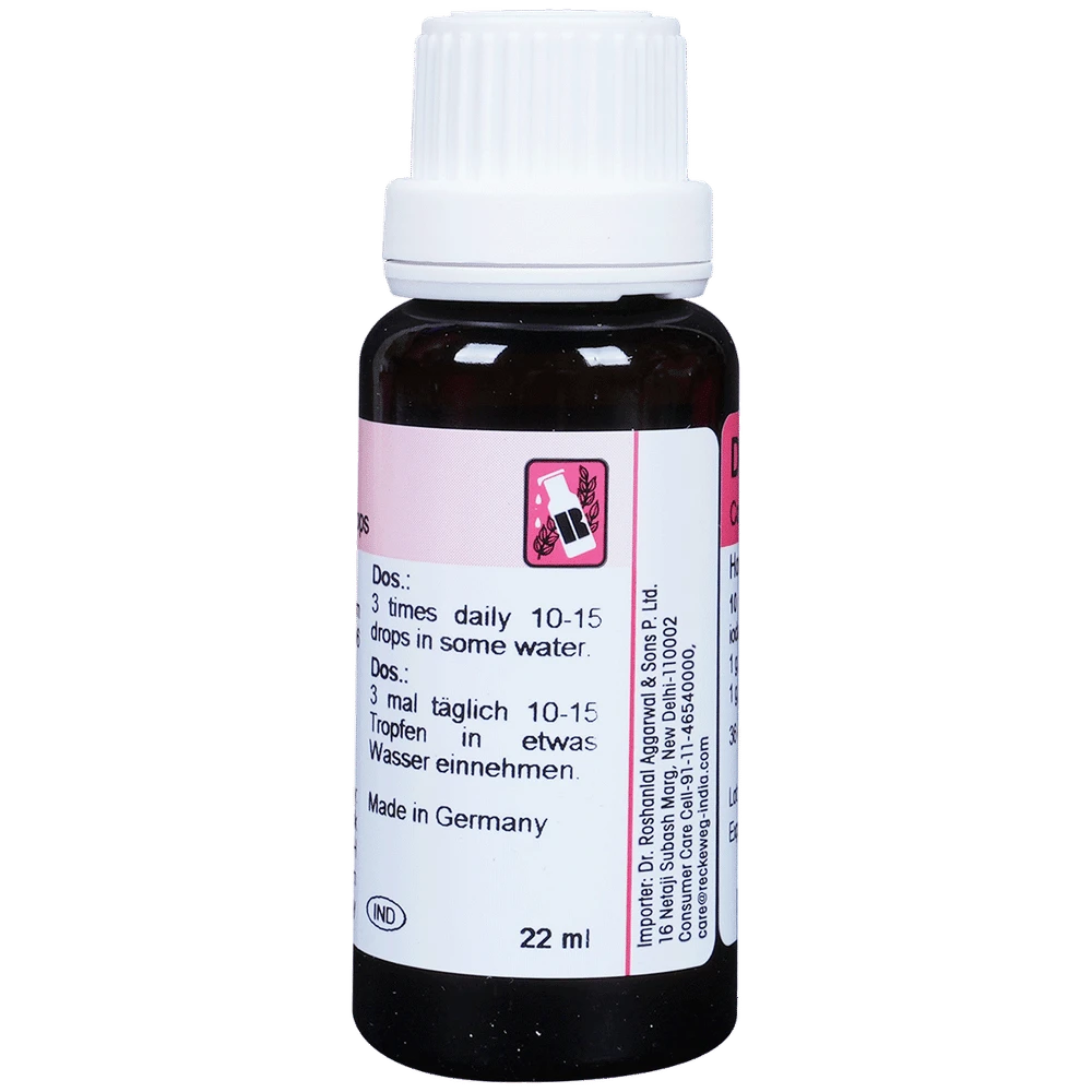 Dr. Reckeweg R31 Increases Appetite And Blood Supply Drop bottle of 22 ml Drop