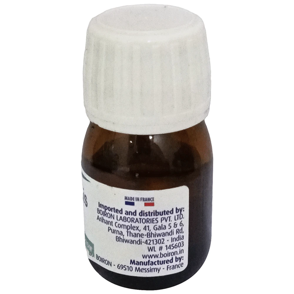 Boiron Ustilago Maydis Dilution 200C bottle of 20 ml Dilution