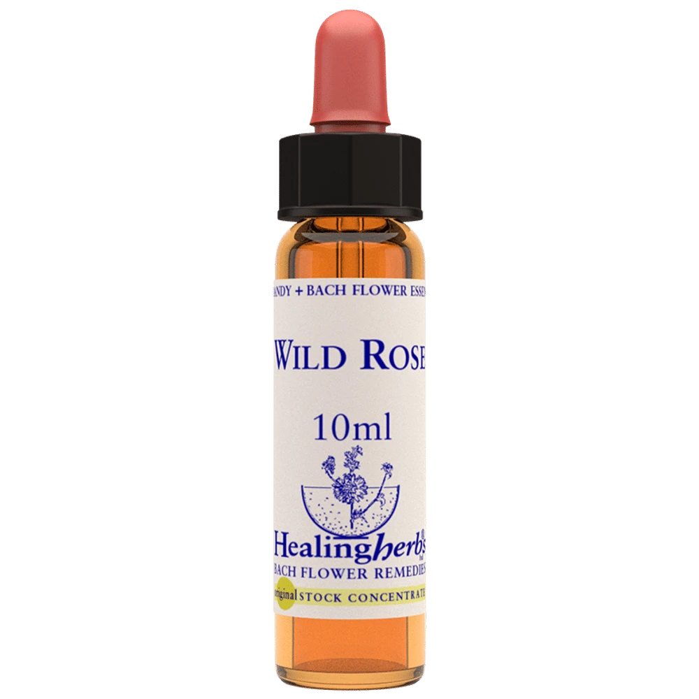 Healing Herbs Bach Flower Wild Rose bottle of 10 ml Liquid