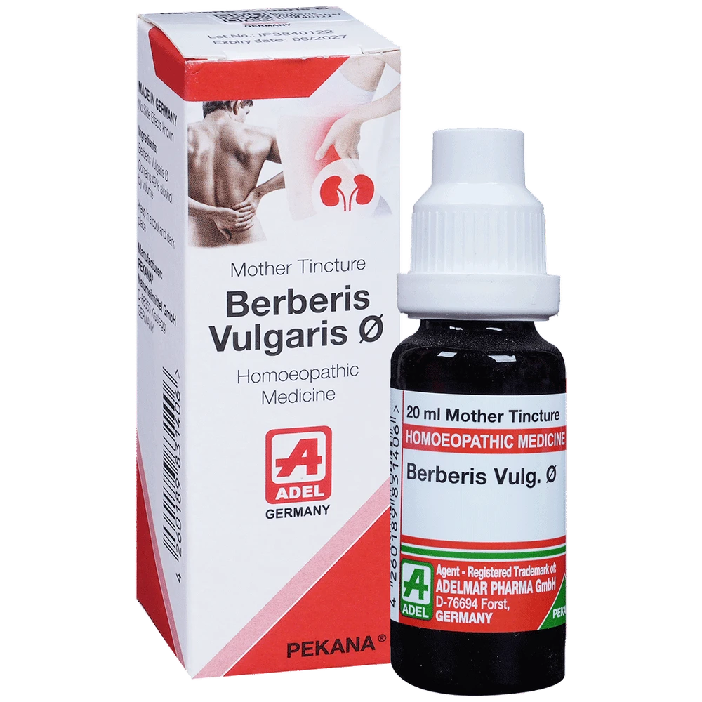 ADEL Berberis Vulg Mother Tincture Q bottle of 20 ml Mother Tincture