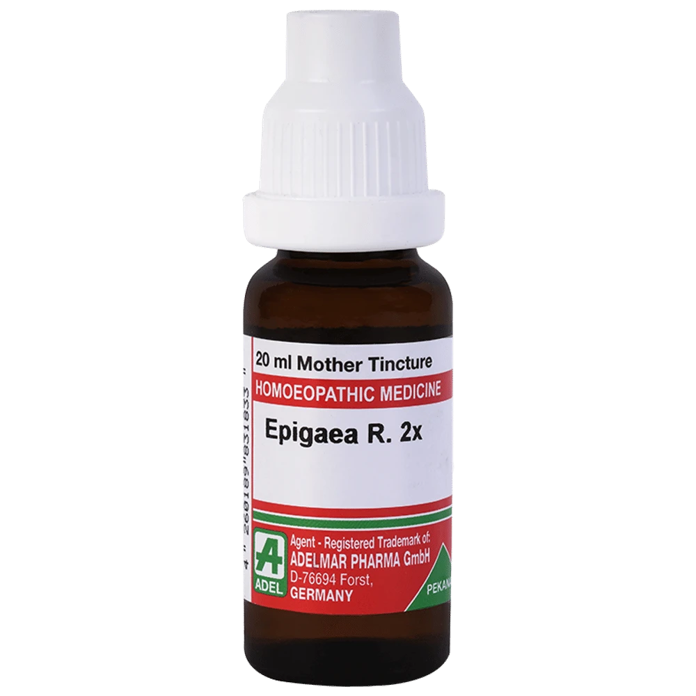 ADEL Epigaea R Mother Tincture 2X bottle of 20 ml Mother Tincture