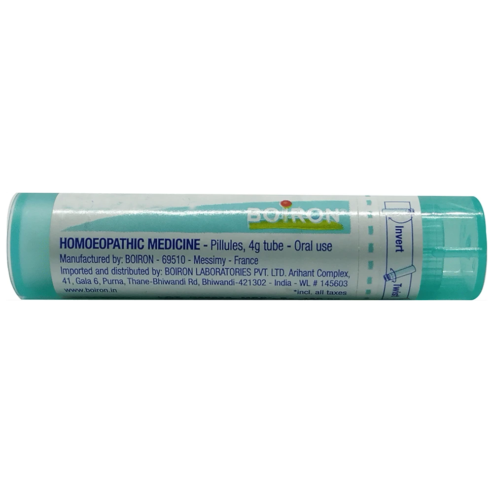 Boiron Ledum Palustre Pellets 10M bottle of 80 pellets