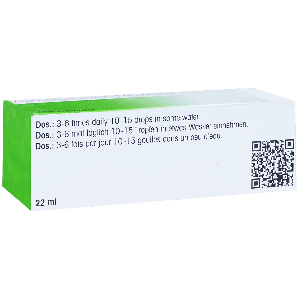 Dr. Reckeweg R32 Excessive Perspiration Drop bottle of 22 ml Drop