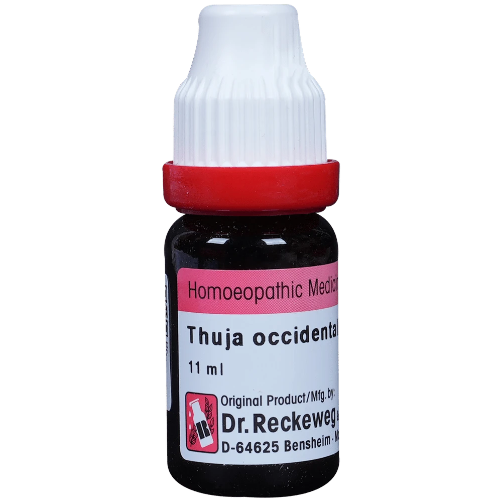 Dr. Reckeweg Thuja Occ Dilution 200 CH bottle of 11 ml Dilution