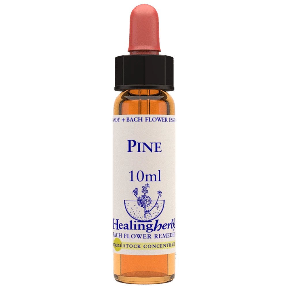Healing Herbs Bach Flower Pine bottle of 10 ml Liquid