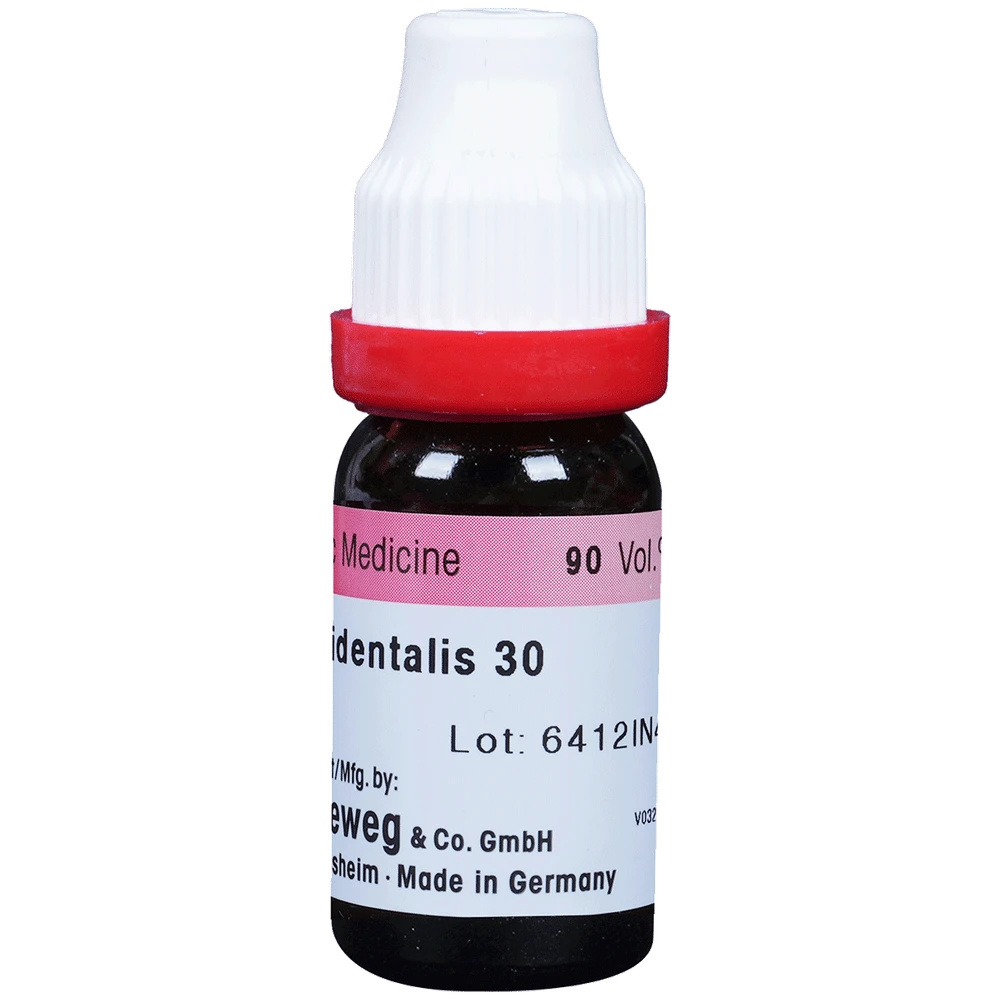 Dr. Reckeweg Thuja Occ Dilution 30 CH bottle of 11 ml Dilution