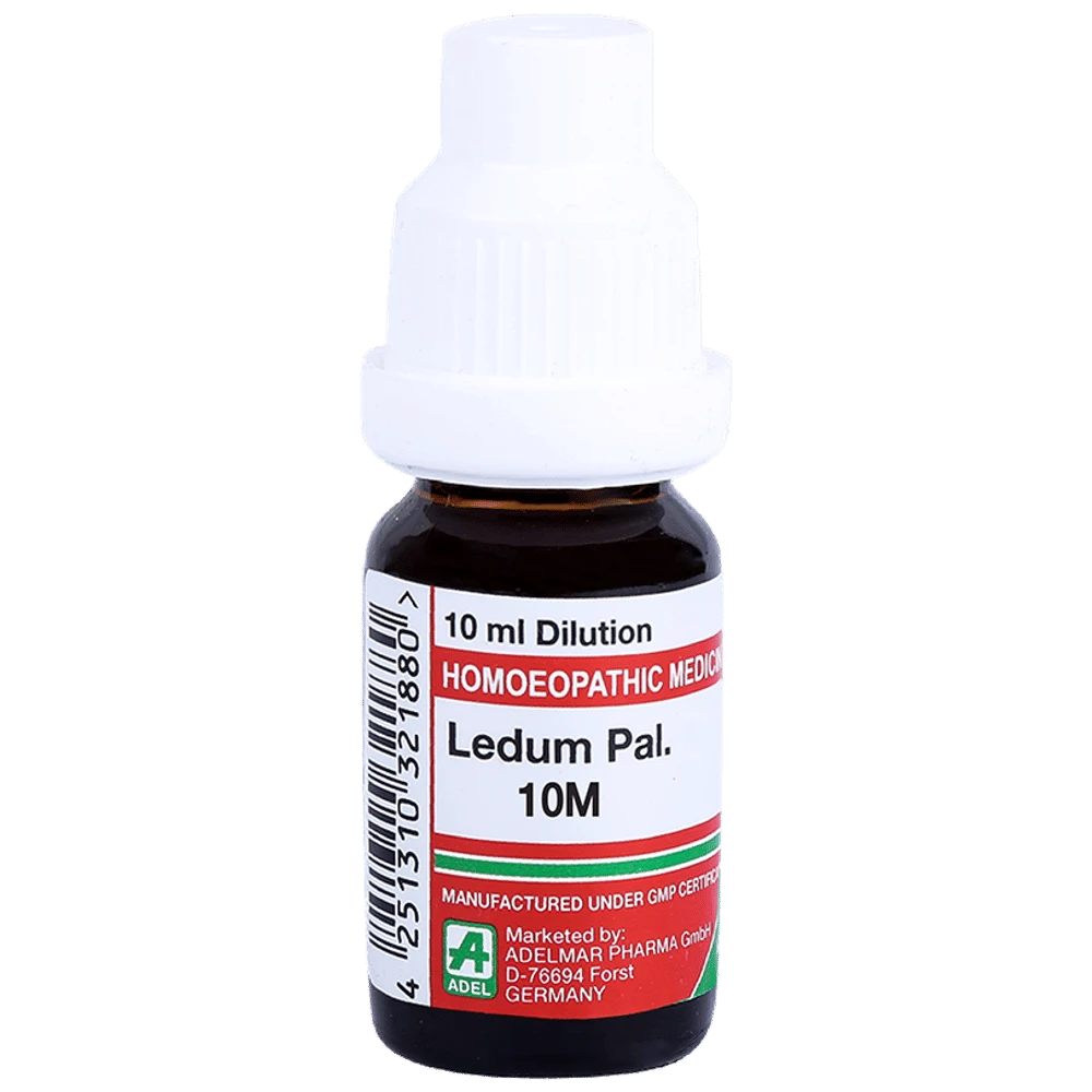 ADEL Ledum Pal. Dilution 10M bottle of 10 ml Dilution