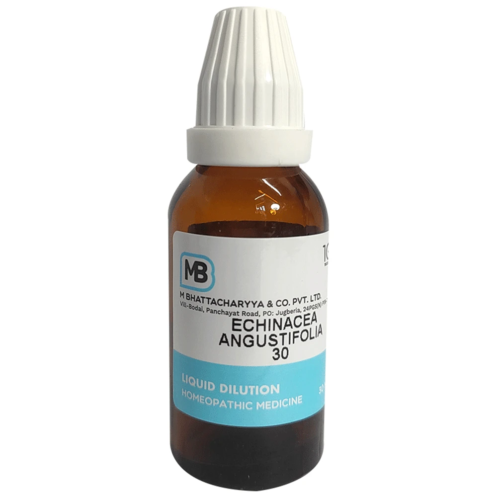MB Echinacea Angustifolia Dilution 30 bottle of 30 ml Dilution