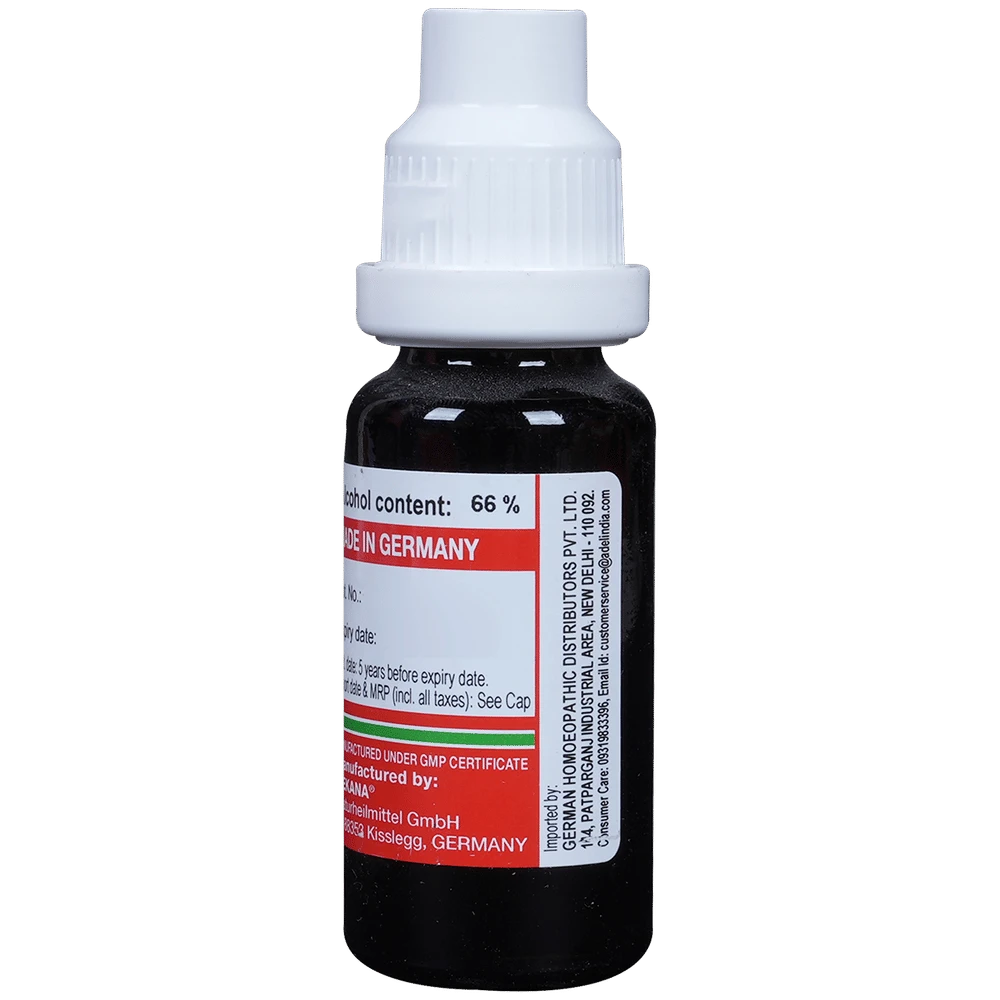 ADEL Quercus Gland Spi Mother Tincture Q bottle of 20 ml Mother Tincture