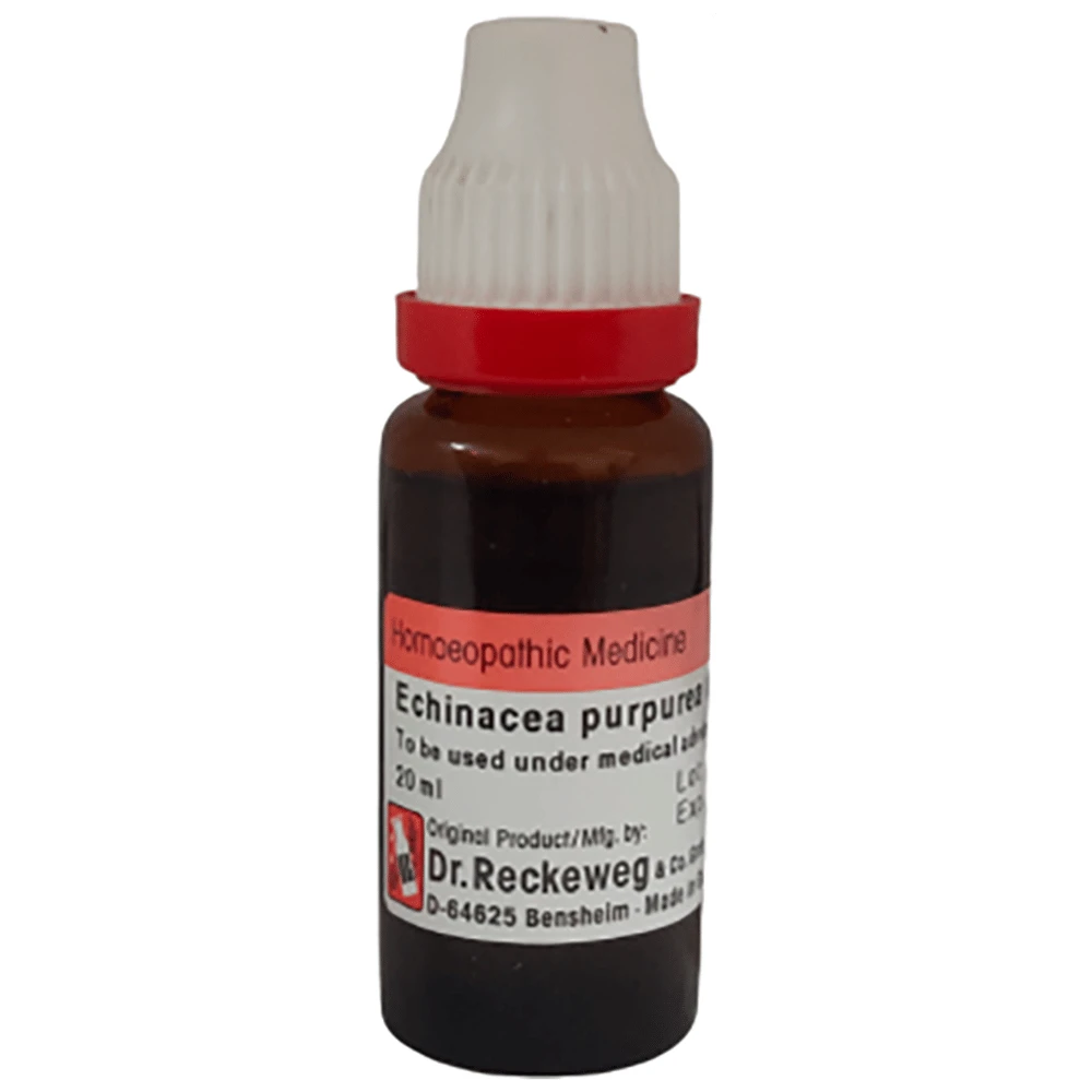 Dr Reckeweg Echinacea Purpurea Mother Tincture Q bottle of 20 ml Mother Tincture Dr Reckeweg Echinacea Purpurea Mother Tincture Q bottle of 20 ml Mother Tincture