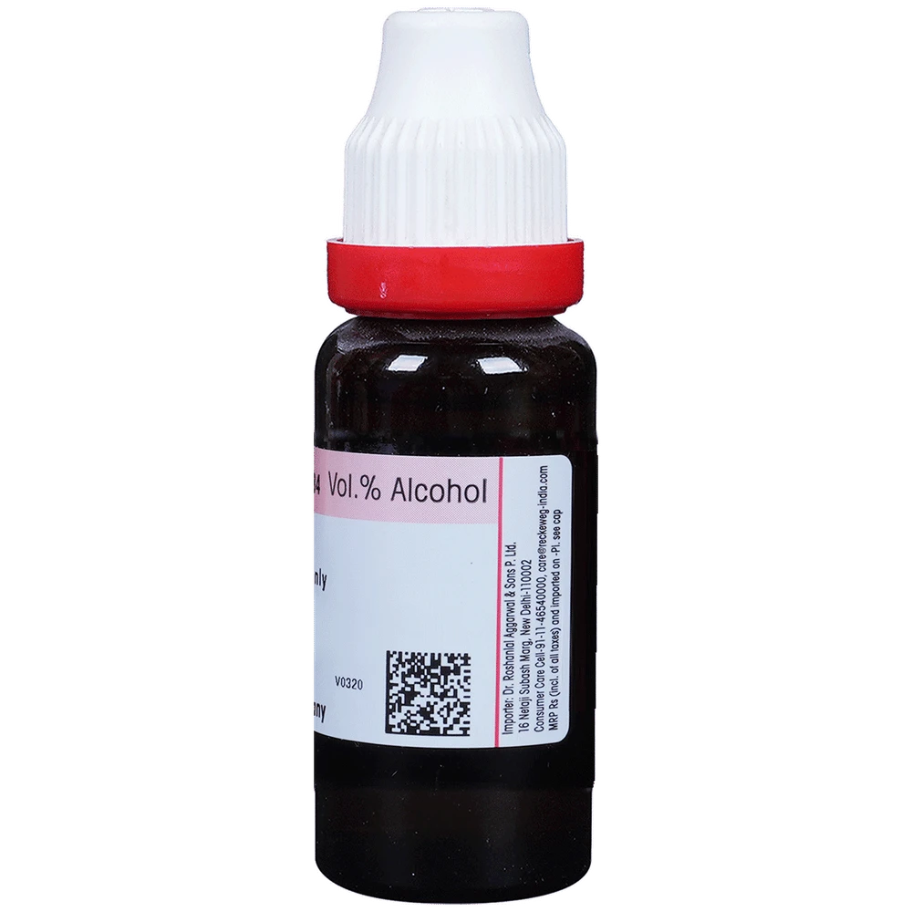 Dr. Reckeweg Thuja Occi Mother Tincture Q bottle of 20 ml Mother Tincture