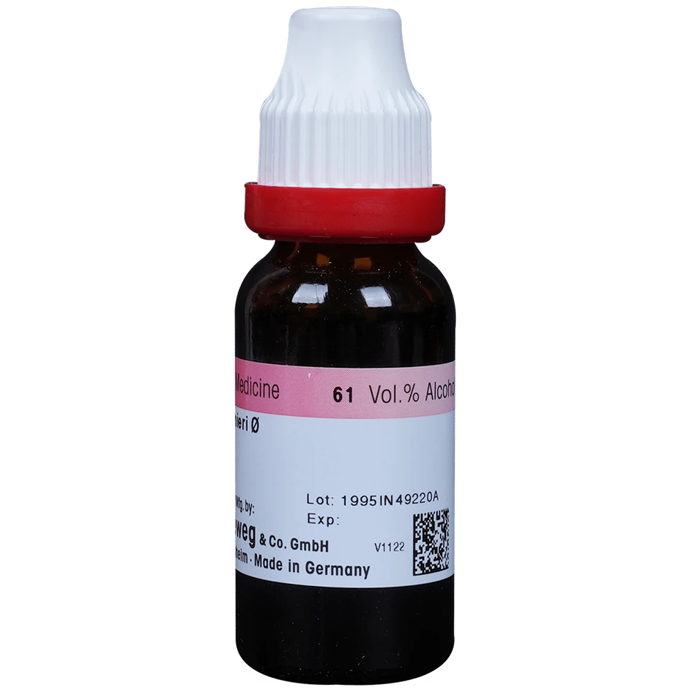 Dr. Reckeweg Bacopa Monnieri (Brahmi) Mother Tincture Q bottle of 20 ml Mother Tincture