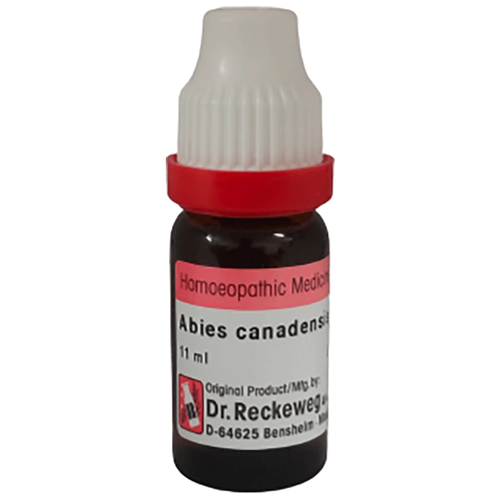 Dr. Reckeweg Abies Canadensis Dilution 6 CH bottle of 11 ml Dilution