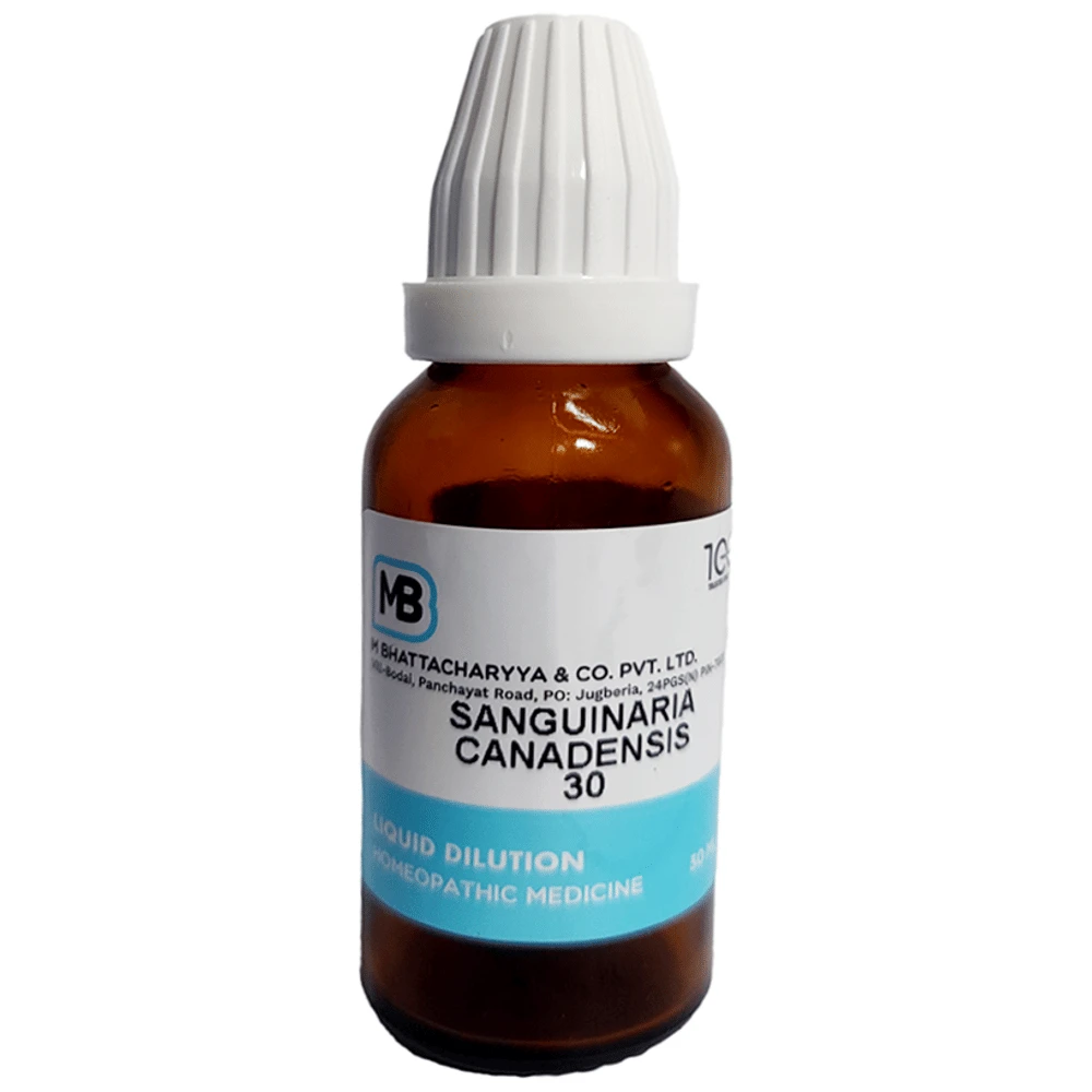 MB Dilution Sanguinaria Canadensis 30 bottle of 30 ml Dilution