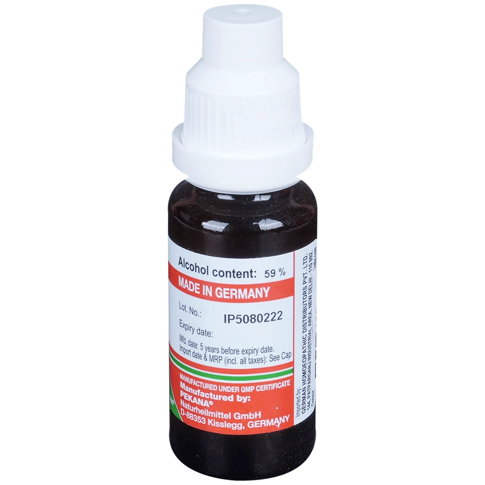 ADEL Hydrangea Mother Tincture Q bottle of 20 ml Mother Tincture