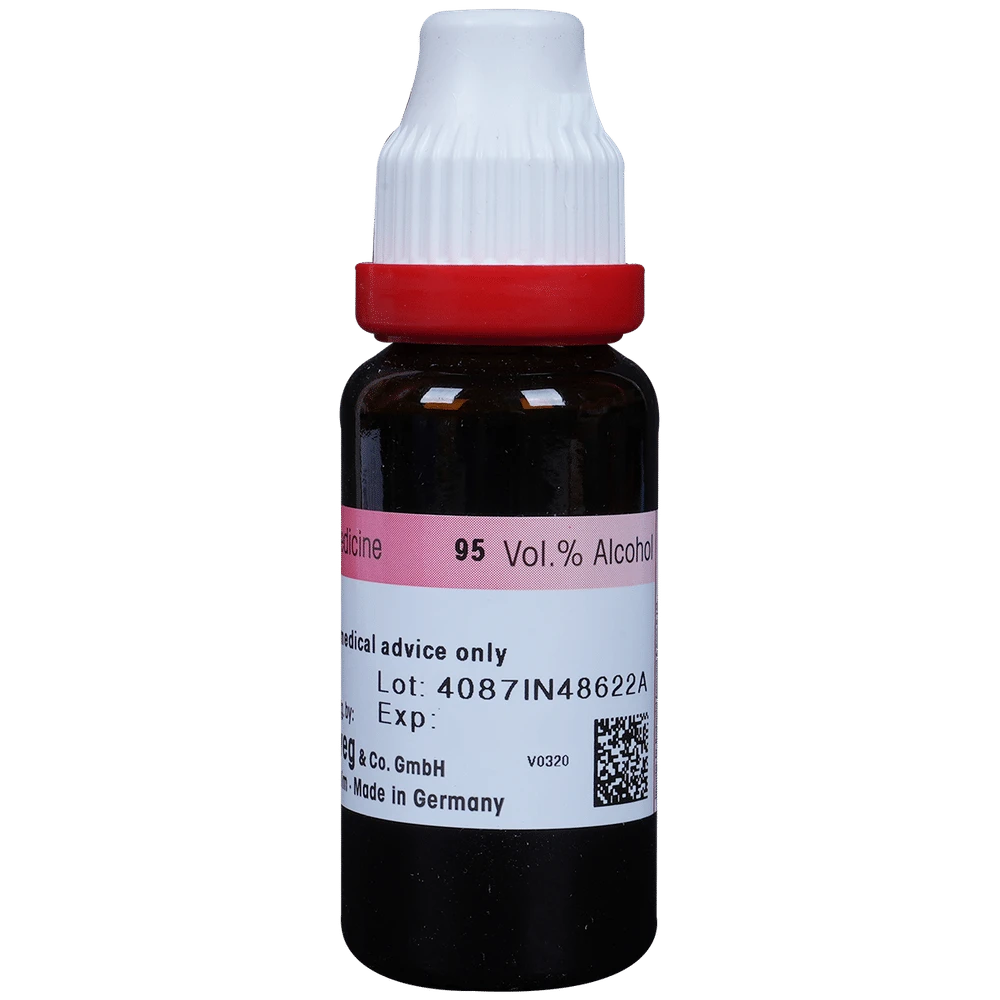 Dr. Reckeweg Jaborandi Mother Tincture Q bottle of 20 ml Mother Tincture