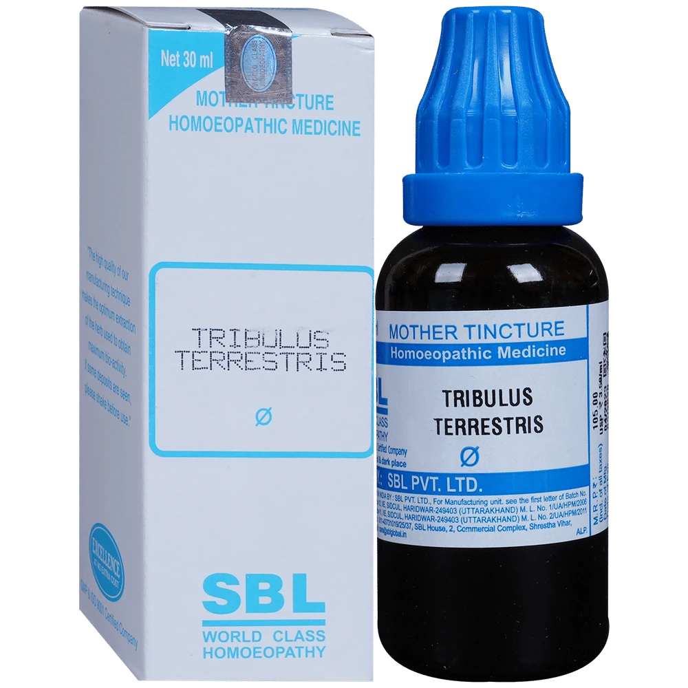 SBL Tribulus Terrestris Mother Tincture Q bottle of 30 ml Mother Tincture