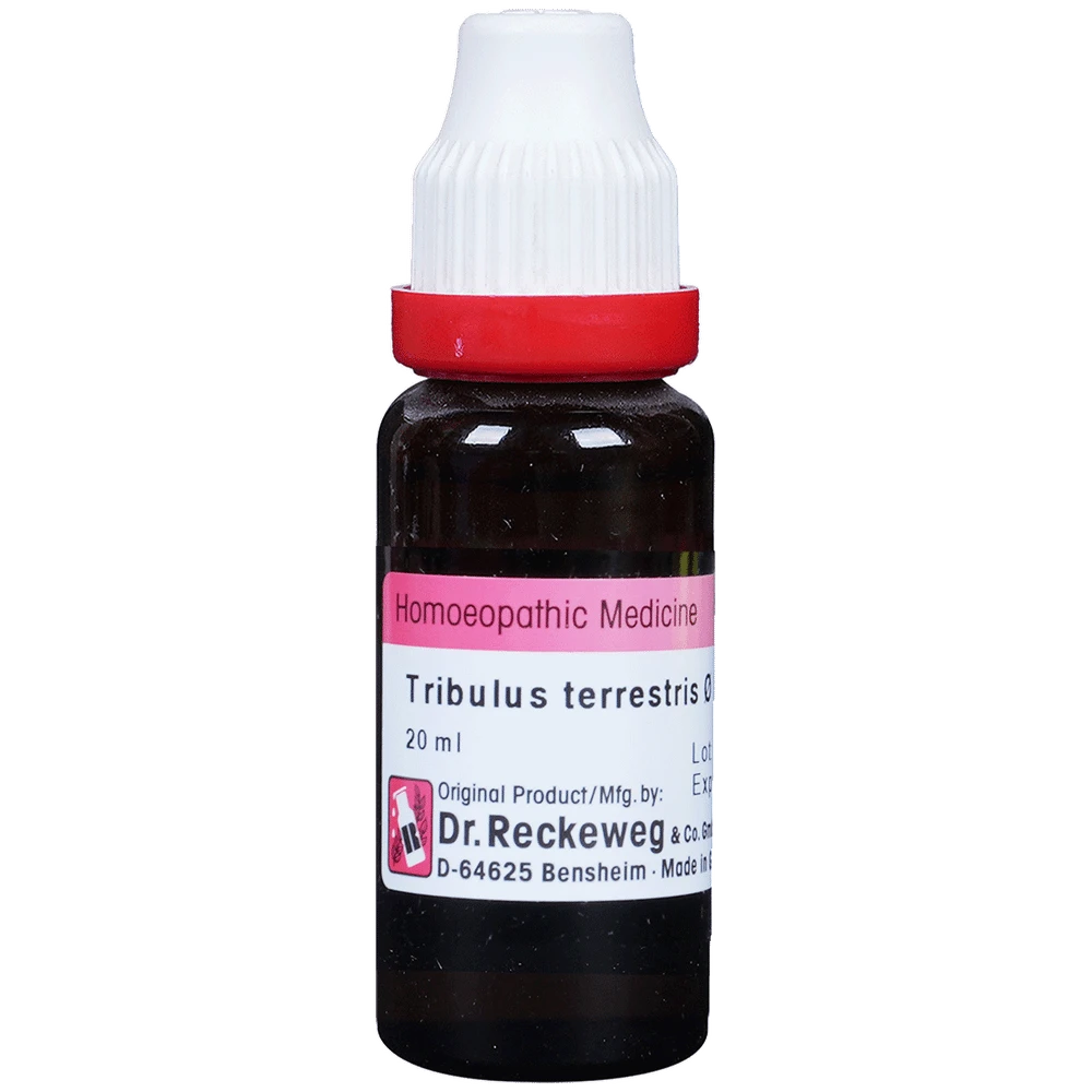 Dr. Reckeweg Tribulus Terr Mother Tincture Q bottle of 20 ml Mother Tincture