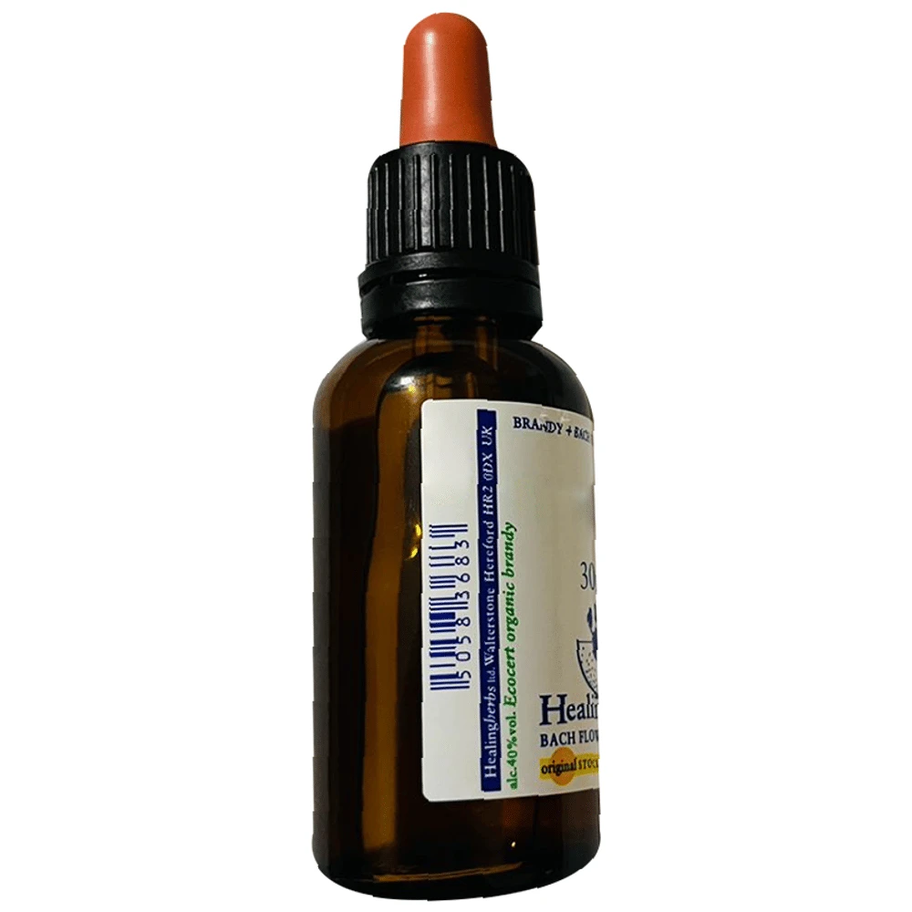 Healing Herbs Bach Flower Larch bottle of 30 ml Liquid