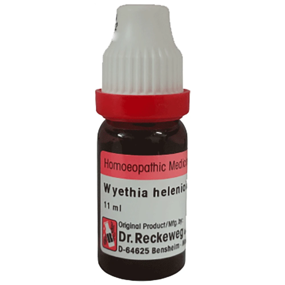 Dr Reckeweg Wyethia Helenioides Dilution (11ml Each) 200 CH box of 1 Bottle