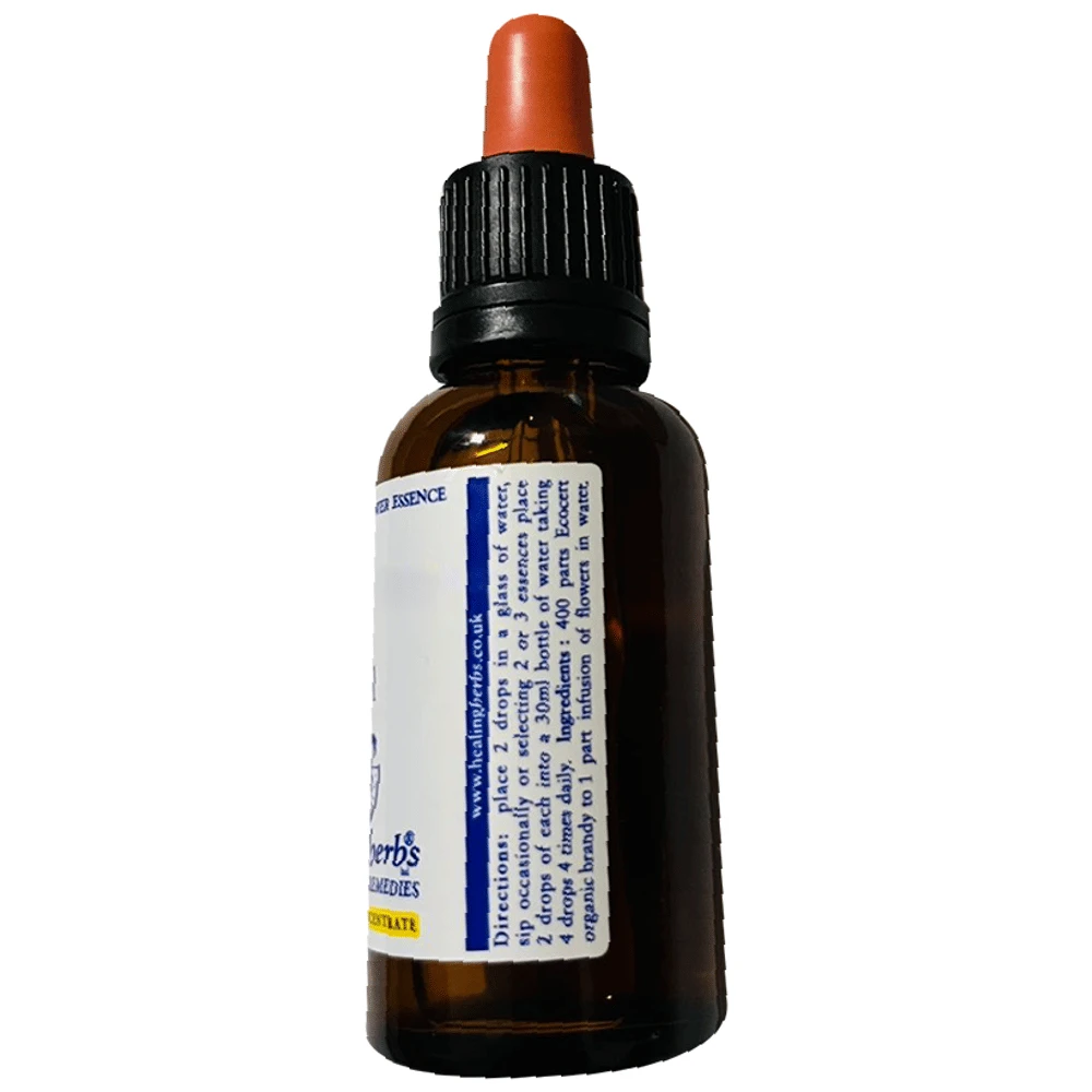 Healing Herbs Bach Flower Red Chestnut bottle of 30 ml Liquid