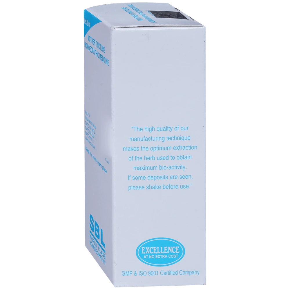 SBL Agnus Castus Mother Tincture Q bottle of 30 ml Mother Tincture