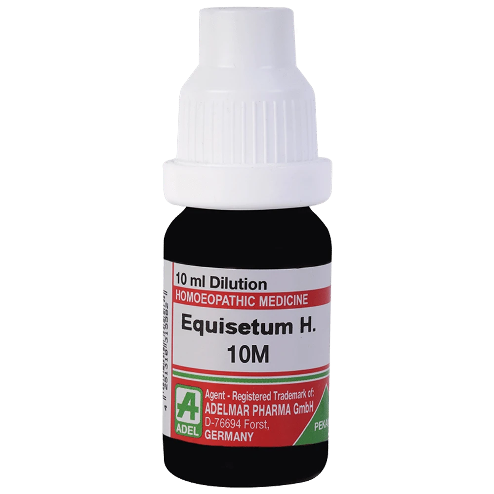 ADEL Equisetum H Dilution 10M bottle of 10 ml Dilution