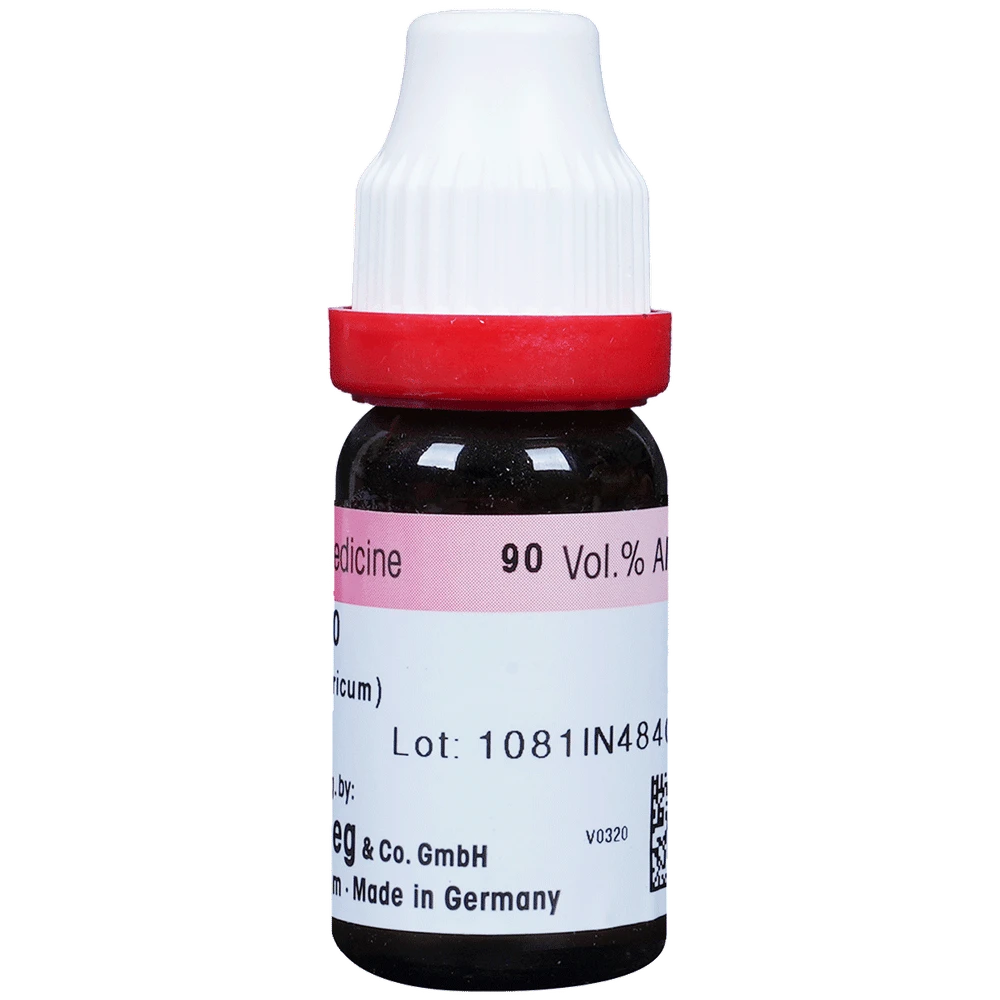 Dr. Reckeweg Acid Fluor Dilution 30 CH bottle of 11 ml Dilution