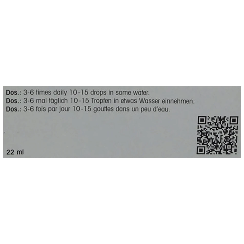 Dr. Reckeweg R13 Hemorrhoidal Drop bottle of 22 ml Drop