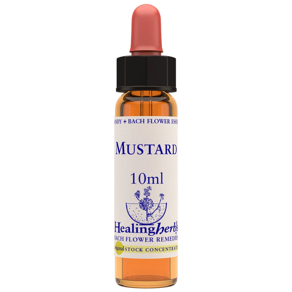 Healing Herbs Bach Flower Mustard bottle of 10 ml Liquid