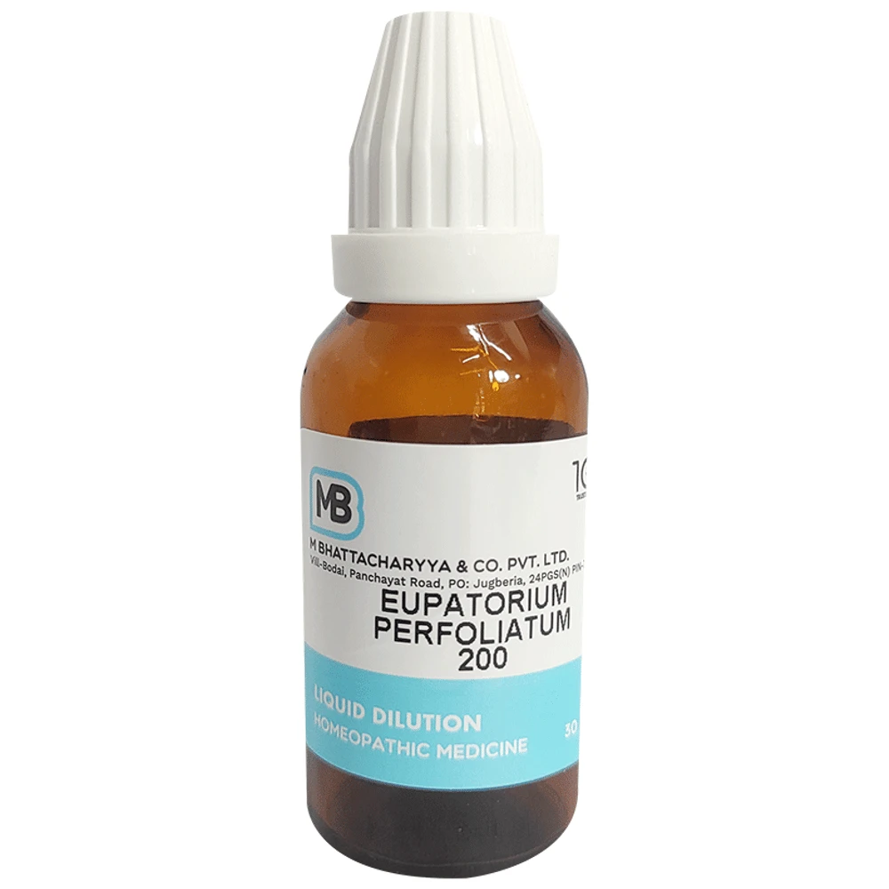 MB Eupatorium Perfoliatum Dilution 200 bottle of 30 ml Dilution