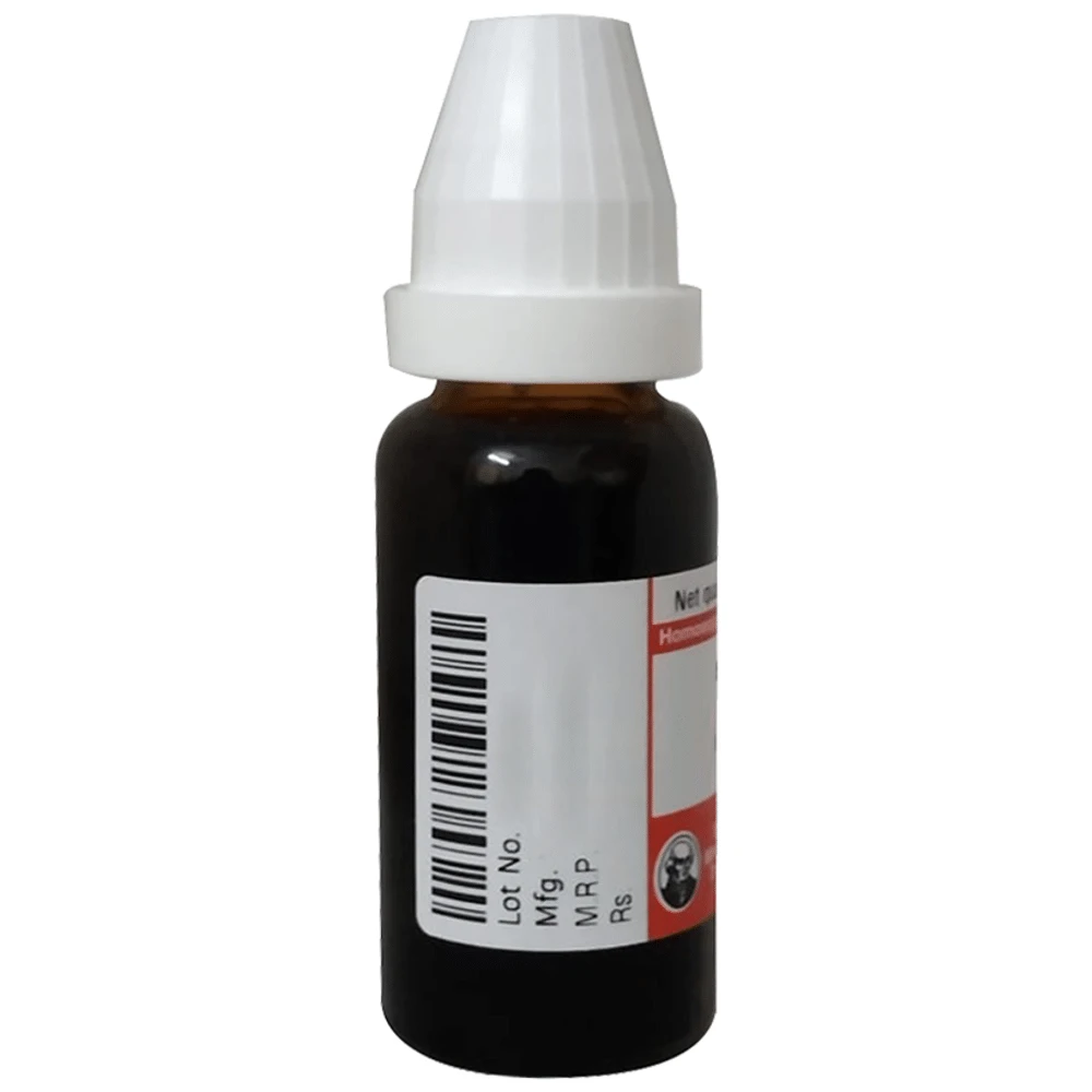 Dr Willmar Schwabe Germany Abrotanum Dilution 200 bottle of 10 ml Dilution Dr Willmar Schwabe Germany Abrotanum Dilution 200 bottle of 10 ml Dilution
