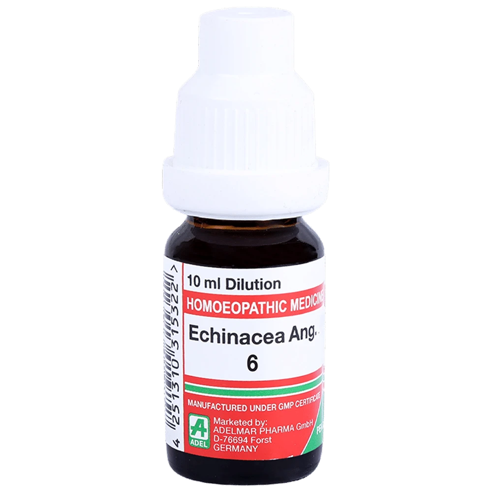 ADEL Echinacea Ang. Dilution 6 bottle of 10 ml Dilution