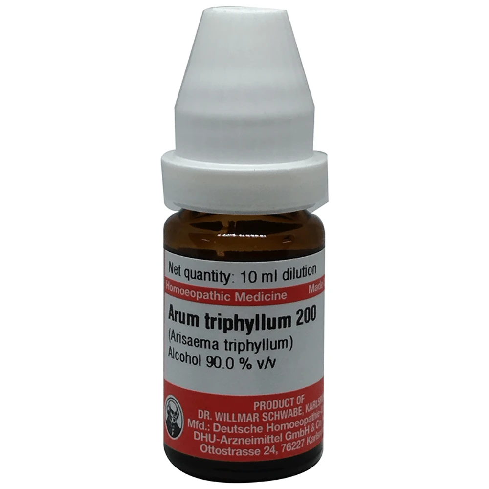 Dr Willmar Schwabe Germany Arum Triphyllum Dilution 200 bottle of 10 ml Dilution