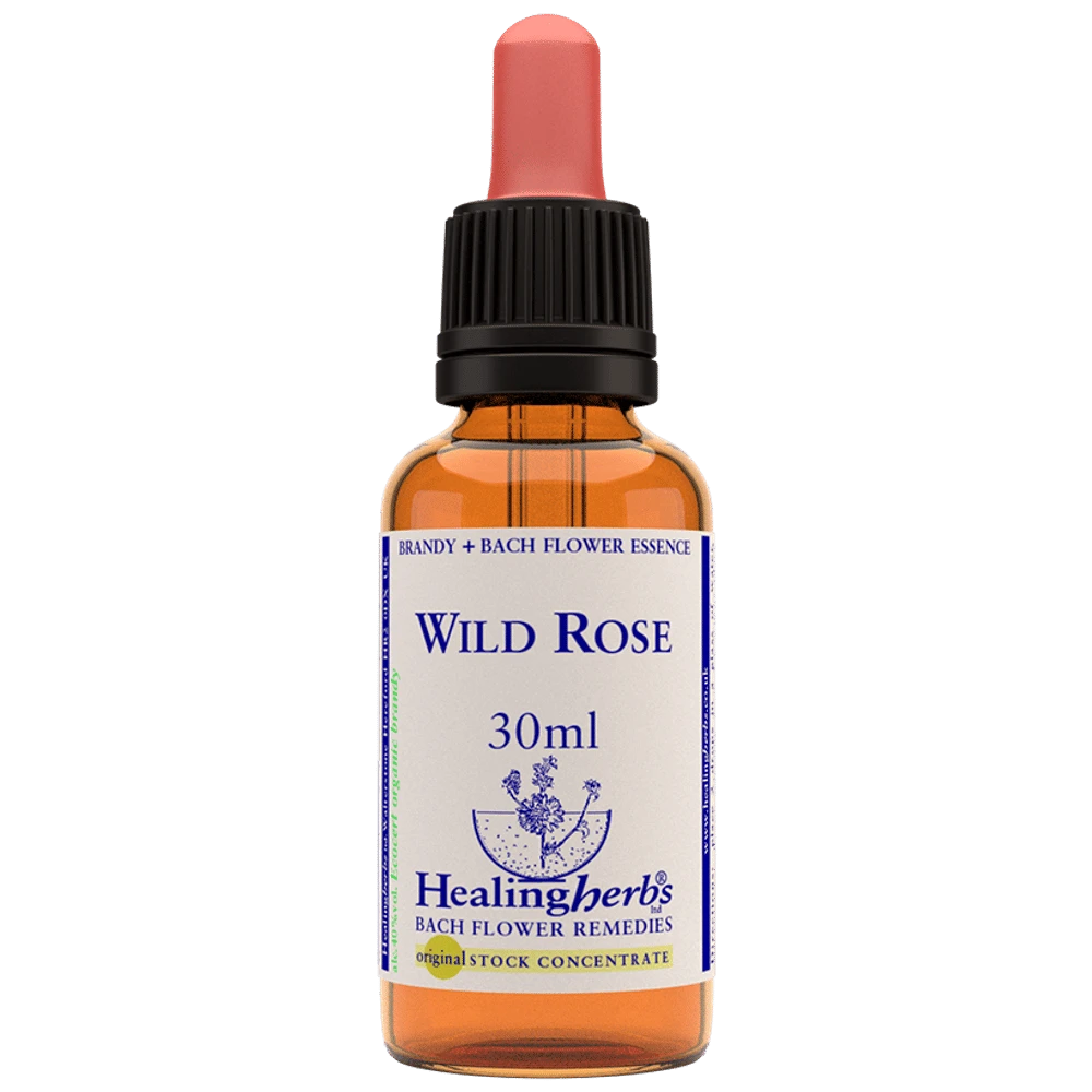 Healing Herbs Bach Flower Wild Rose bottle of 30 ml Liquid