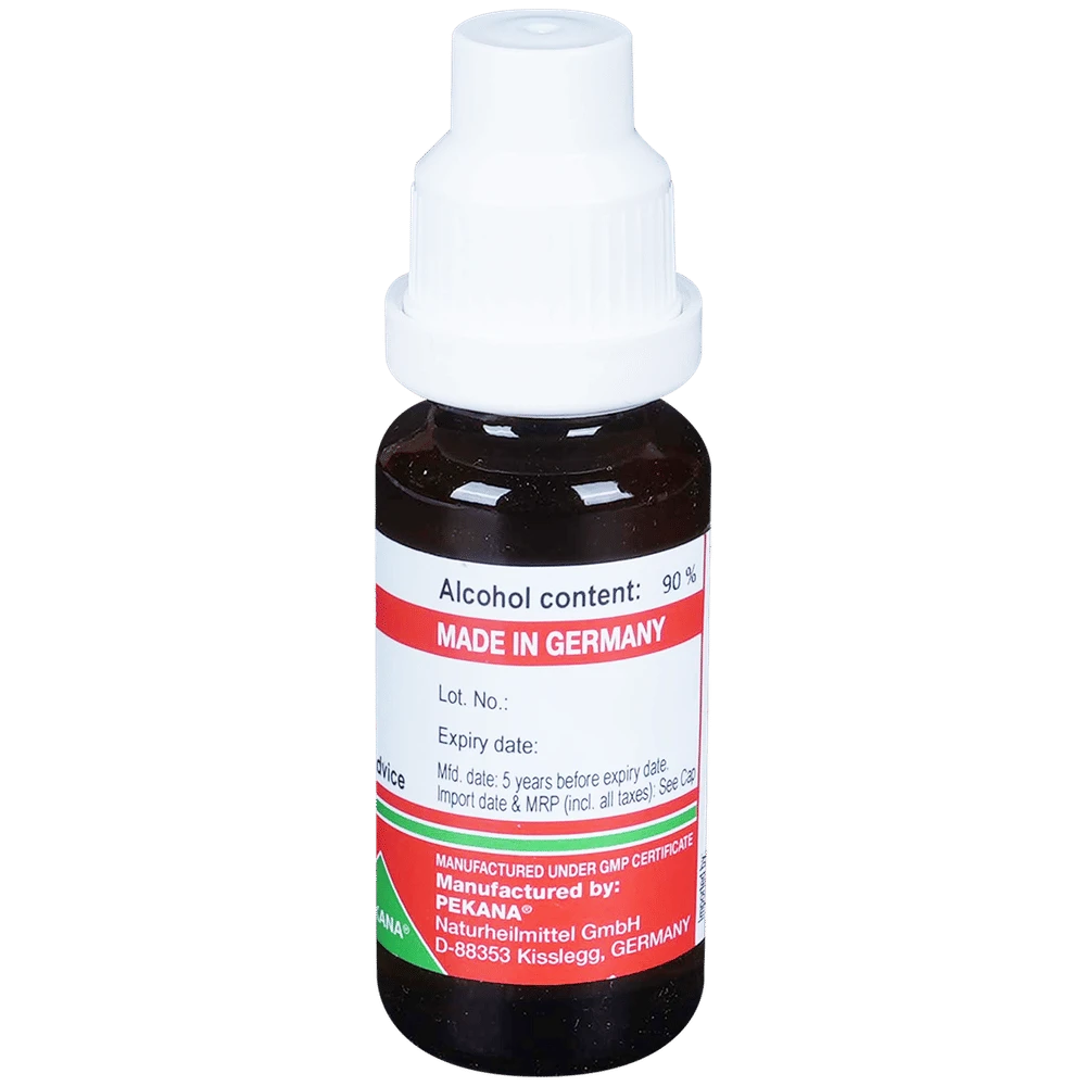 ADEL Aalserum. Mother Tincture 7X bottle of 20 ml Mother Tincture